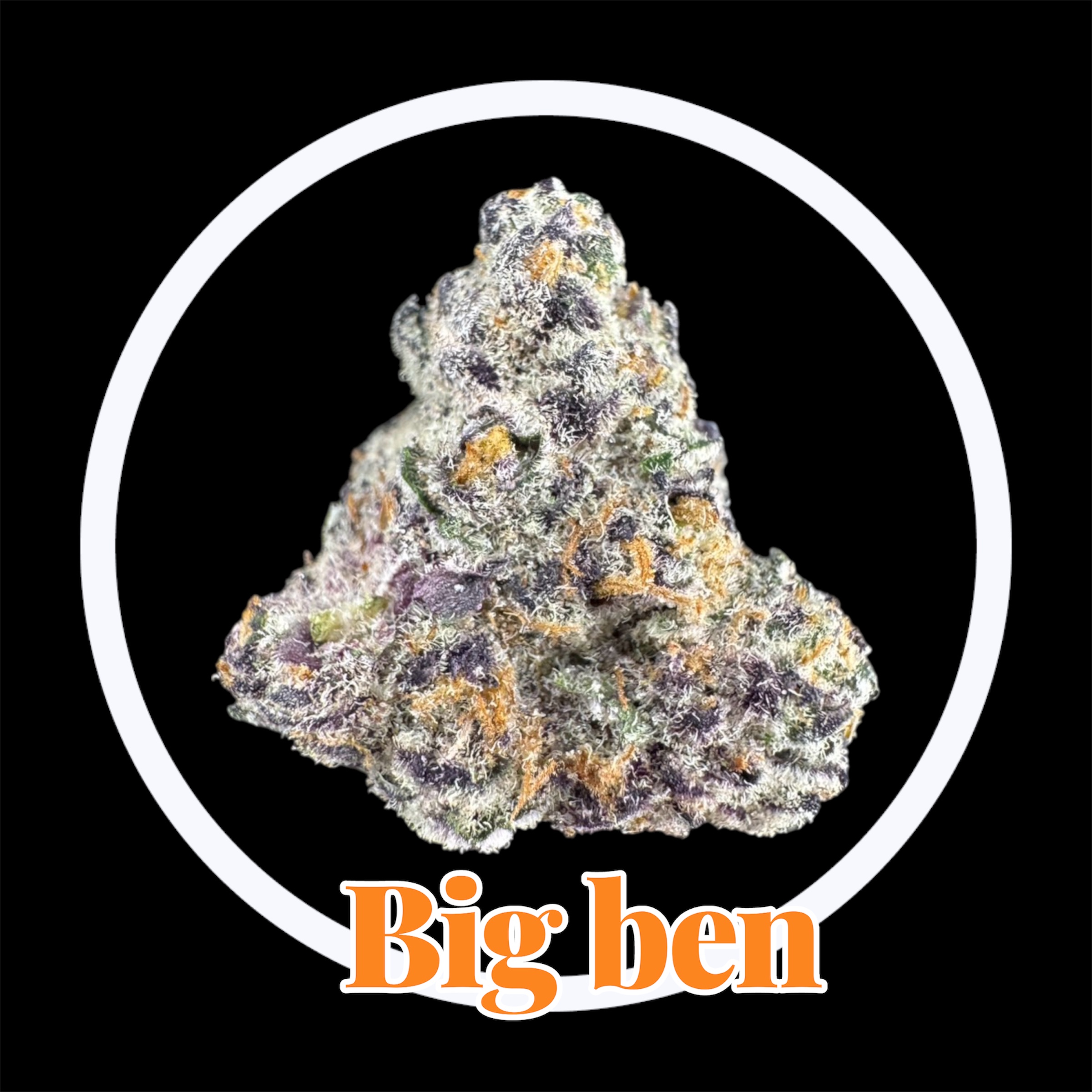 20-11-25 09-50-00pm.jpg